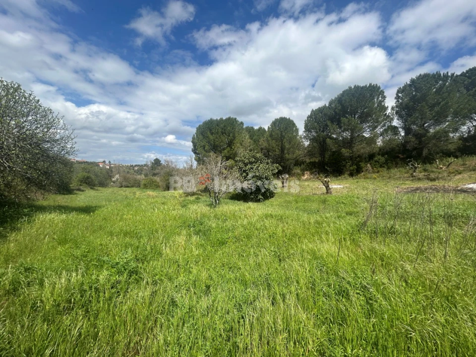 Terreno Agricola ou Rústico para Venda em Paialvo Foto 6