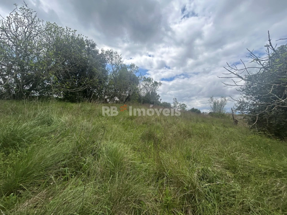 Terreno Agricola ou Rústico para Venda em Paialvo Foto 19