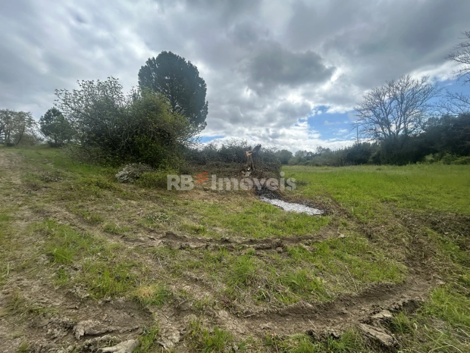 Terreno Agricola ou Rústico para Venda em Paialvo Foto 27