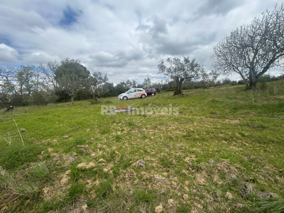 Terreno Agricola ou Rústico para Venda em Paialvo Foto 34