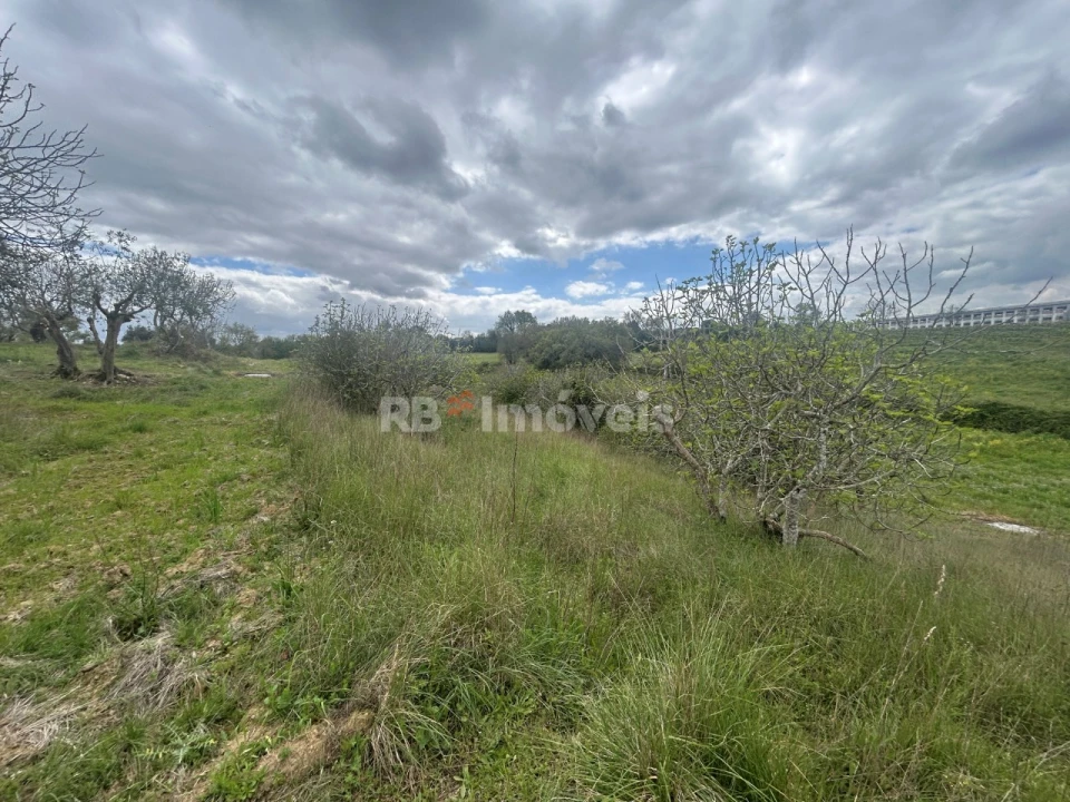 Terreno Agricola ou Rústico para Venda em Paialvo Foto 37