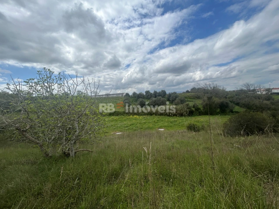 Terreno Agricola ou Rústico para Venda em Paialvo Foto 38