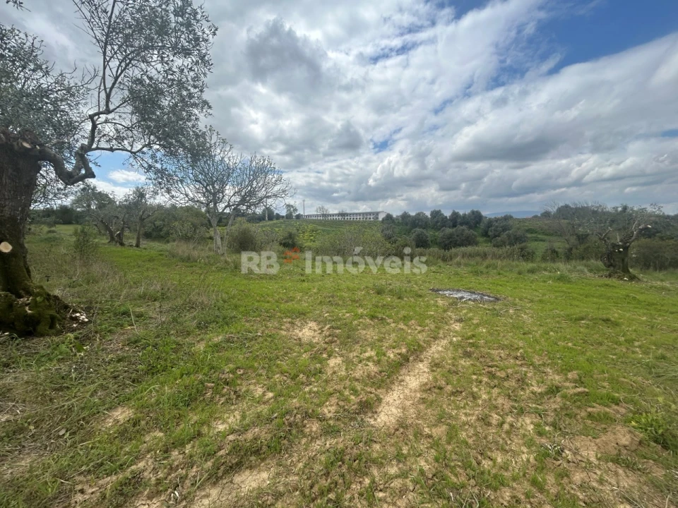 Terreno Agricola ou Rústico para Venda em Paialvo Foto 39