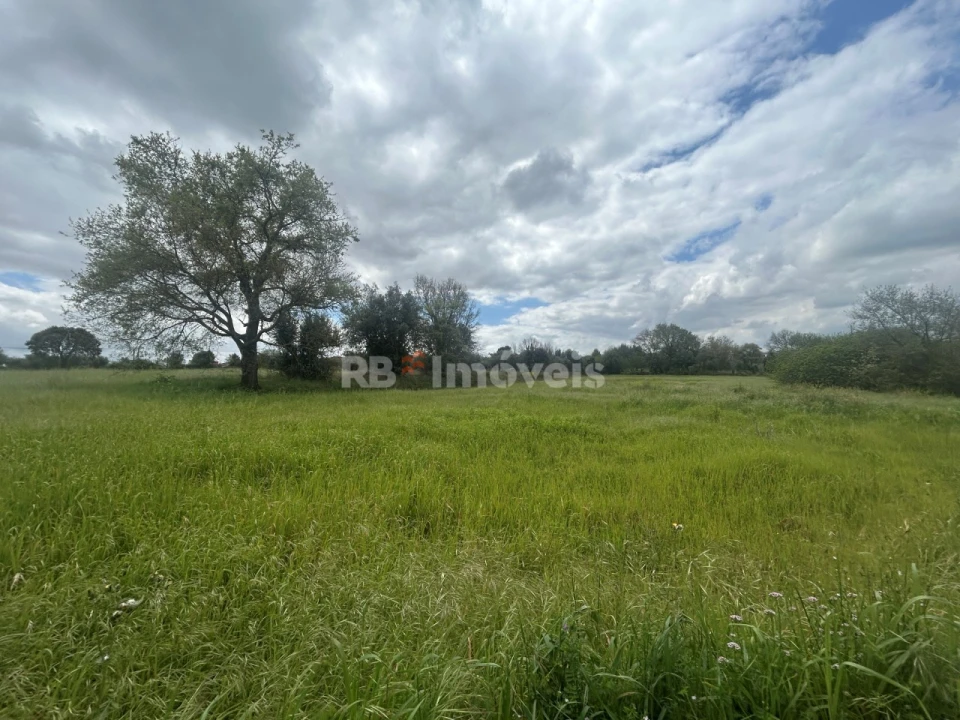 Terreno Agricola ou Rústico para Venda em Paialvo Foto 43