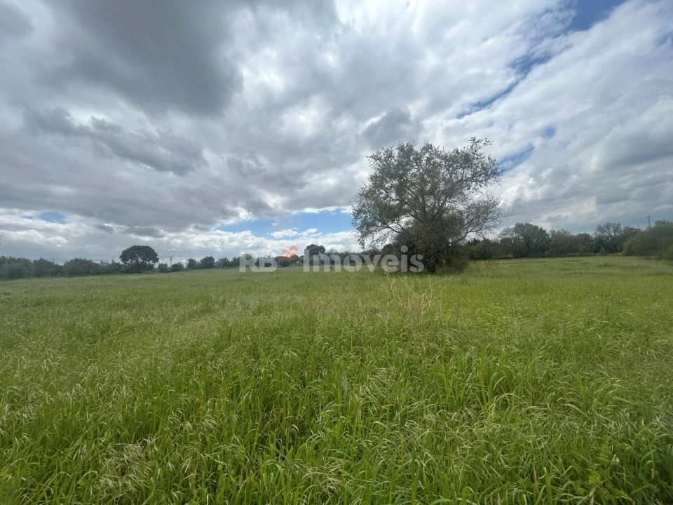 Terreno Agricola ou Rústico para Venda em Paialvo Foto 45