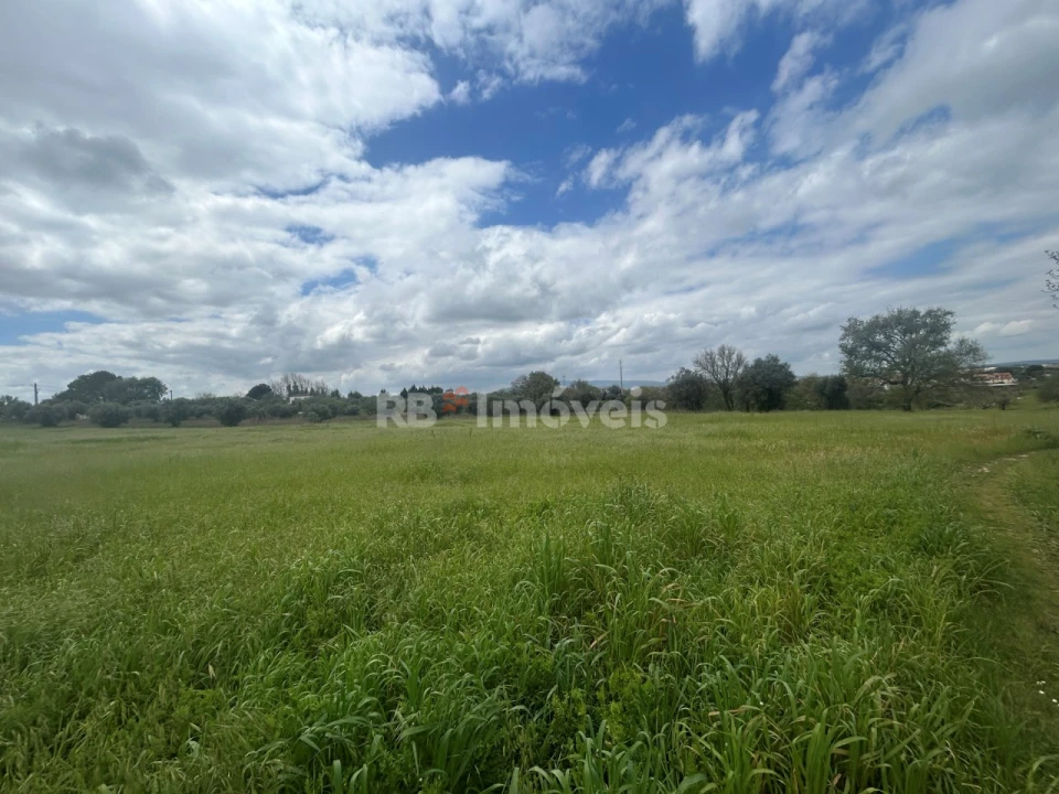 Terreno Agricola ou Rústico para Venda em Paialvo Foto 46