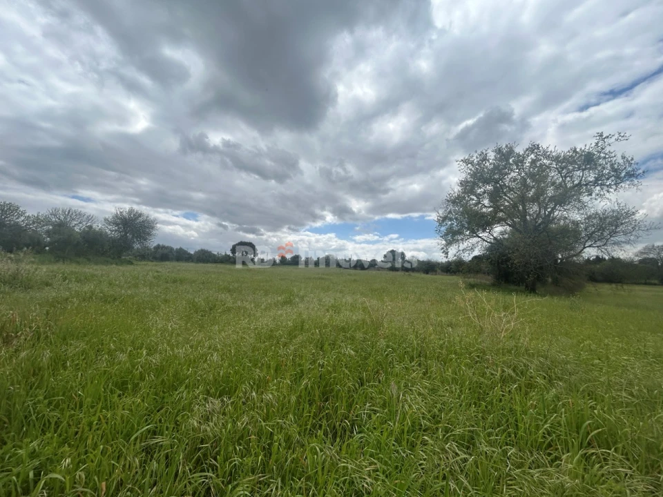 Terreno Agricola ou Rústico para Venda em Paialvo Foto 48