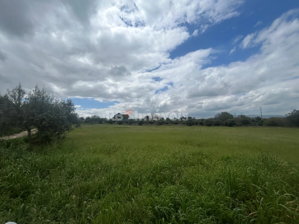 Terreno Agricola ou Rústico para Venda em Paialvo Foto 49