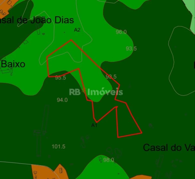 Terreno Agricola ou Rústico para Venda em Paialvo Foto 51