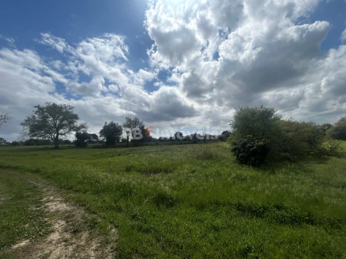 Terreno Agricola ou Rústico para Venda em Paialvo Foto 3