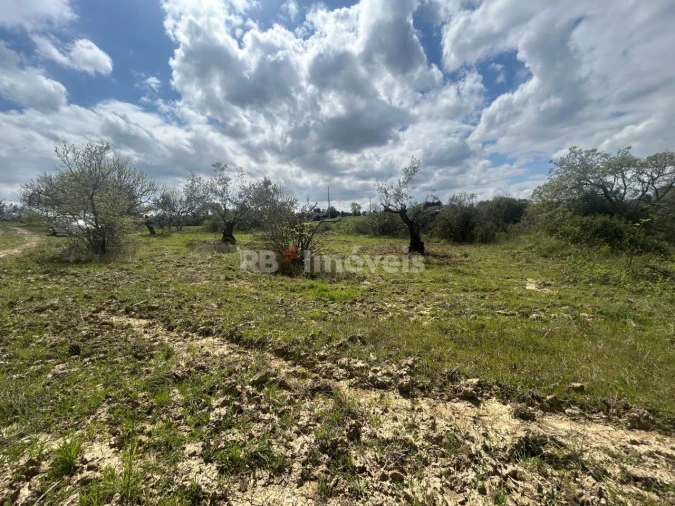 Terreno Agricola ou Rústico para Venda em Paialvo Foto 5