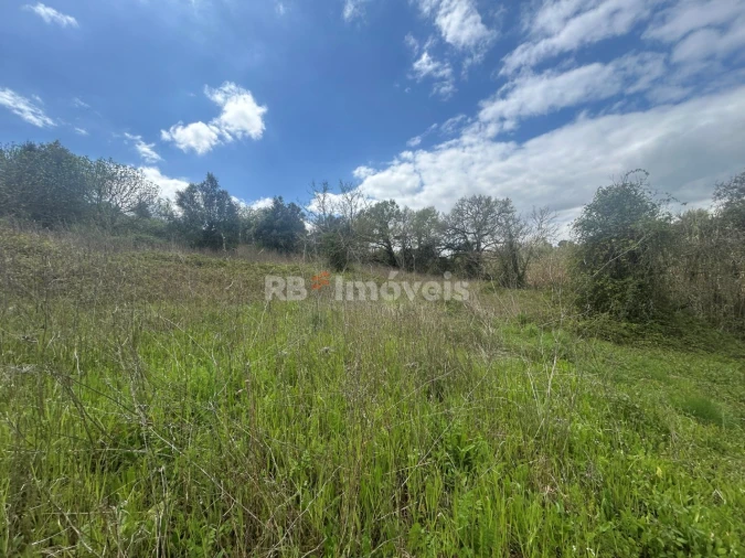 Terreno Agricola ou Rústico para Venda em Paialvo Foto 10