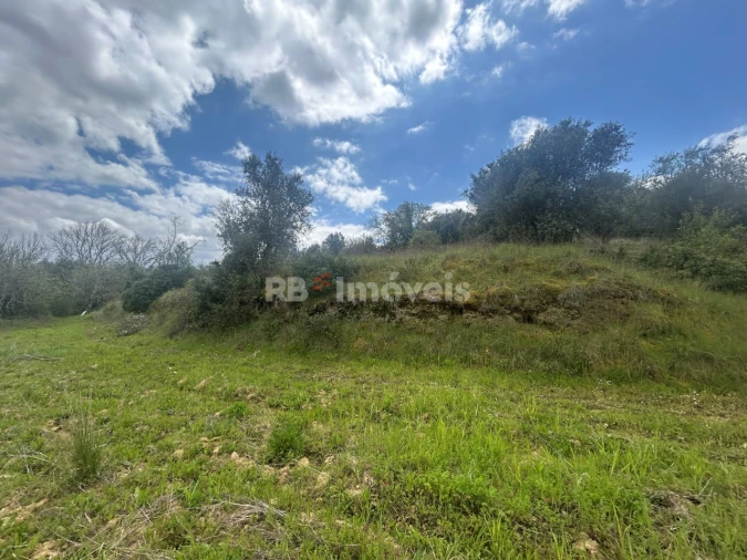 Terreno Agricola ou Rústico para Venda em Paialvo Foto 14