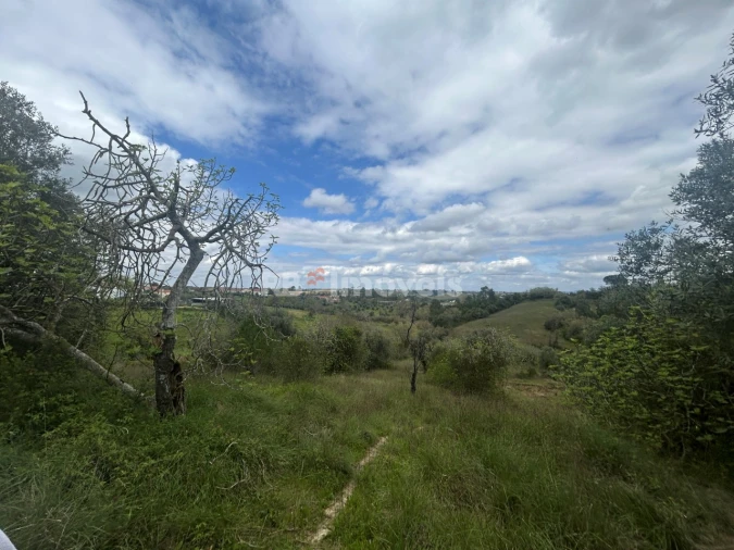 Terreno Agricola ou Rústico para Venda em Paialvo Foto 15