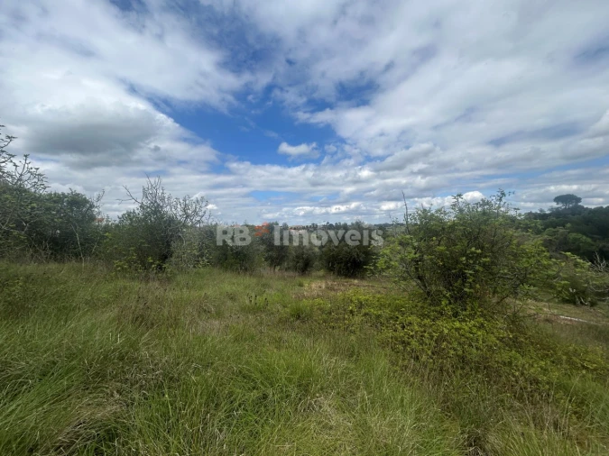 Terreno Agricola ou Rústico para Venda em Paialvo Foto 20