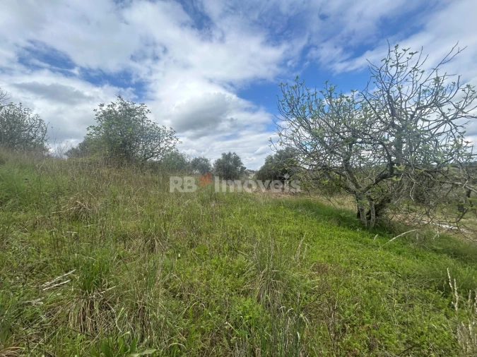 Terreno Agricola ou Rústico para Venda em Paialvo Foto 22