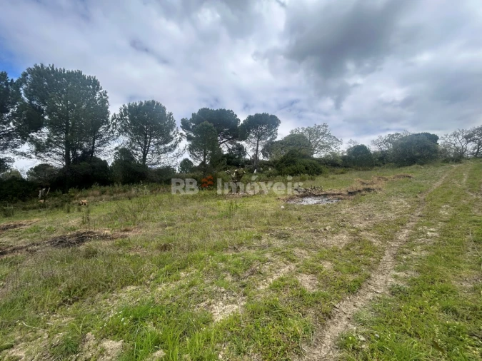 Terreno Agricola ou Rústico para Venda em Paialvo Foto 24