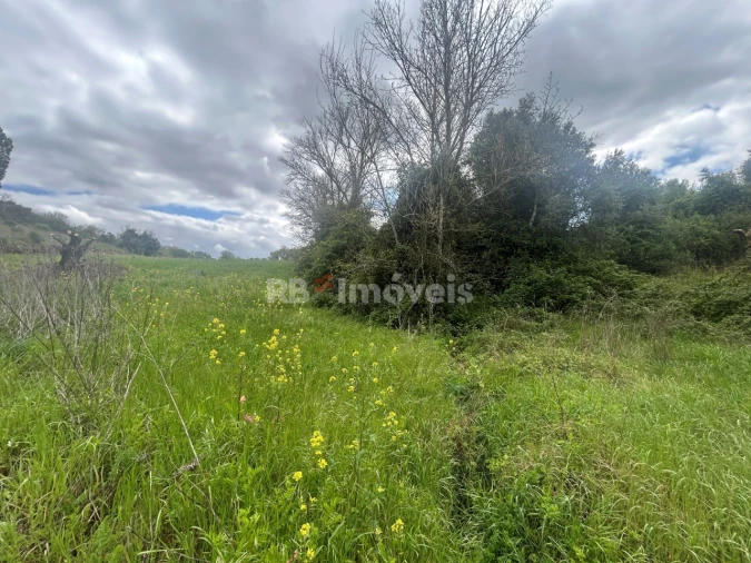 Terreno Agricola ou Rústico para Venda em Paialvo Foto 25
