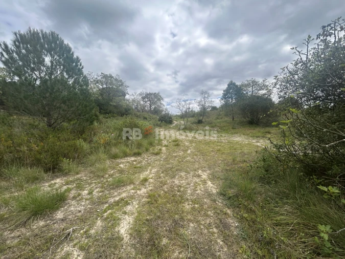Terreno Agricola ou Rústico para Venda em Paialvo Foto 30