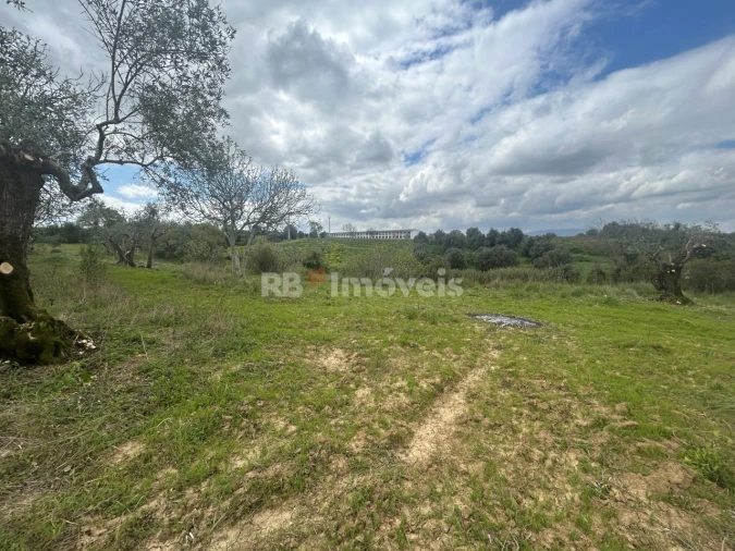 Terreno Agricola ou Rústico para Venda em Paialvo Foto 39