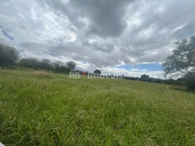 Terreno Agricola ou Rústico para Venda em Paialvo Foto 44