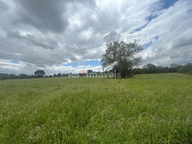 Terreno Agricola ou Rústico para Venda em Paialvo Foto 45
