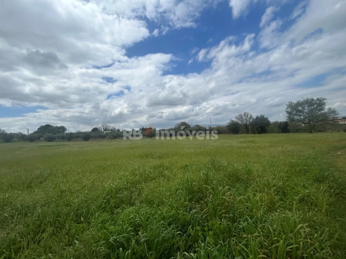 Terreno Agricola ou Rústico para Venda em Paialvo Foto 47