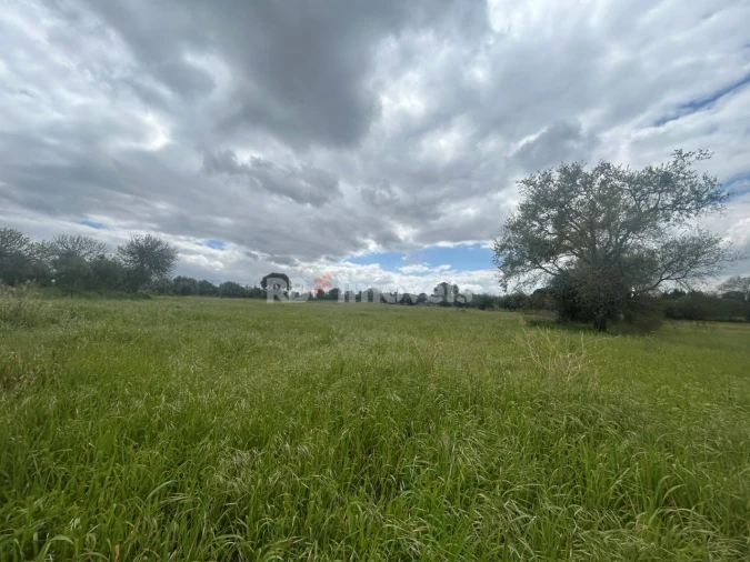 Terreno Agricola ou Rústico para Venda em Paialvo Foto 48