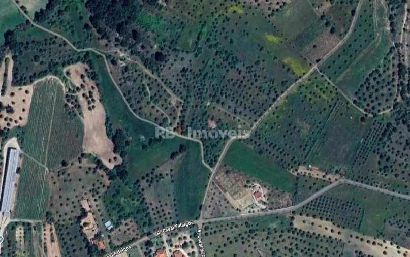 Terreno Agricola ou Rústico para Venda em Paialvo Foto 50