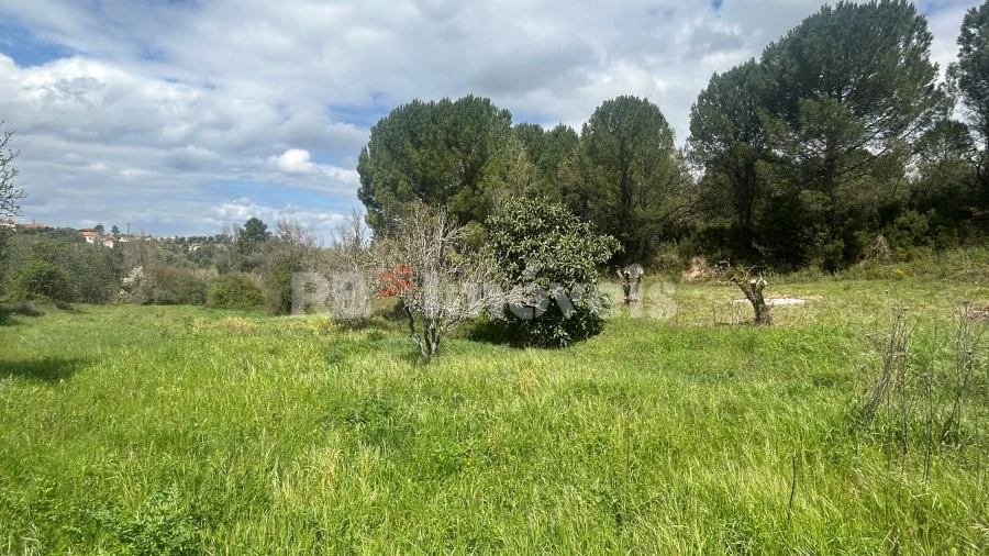 Terreno Agricola ou Rústico para Venda em Paialvo