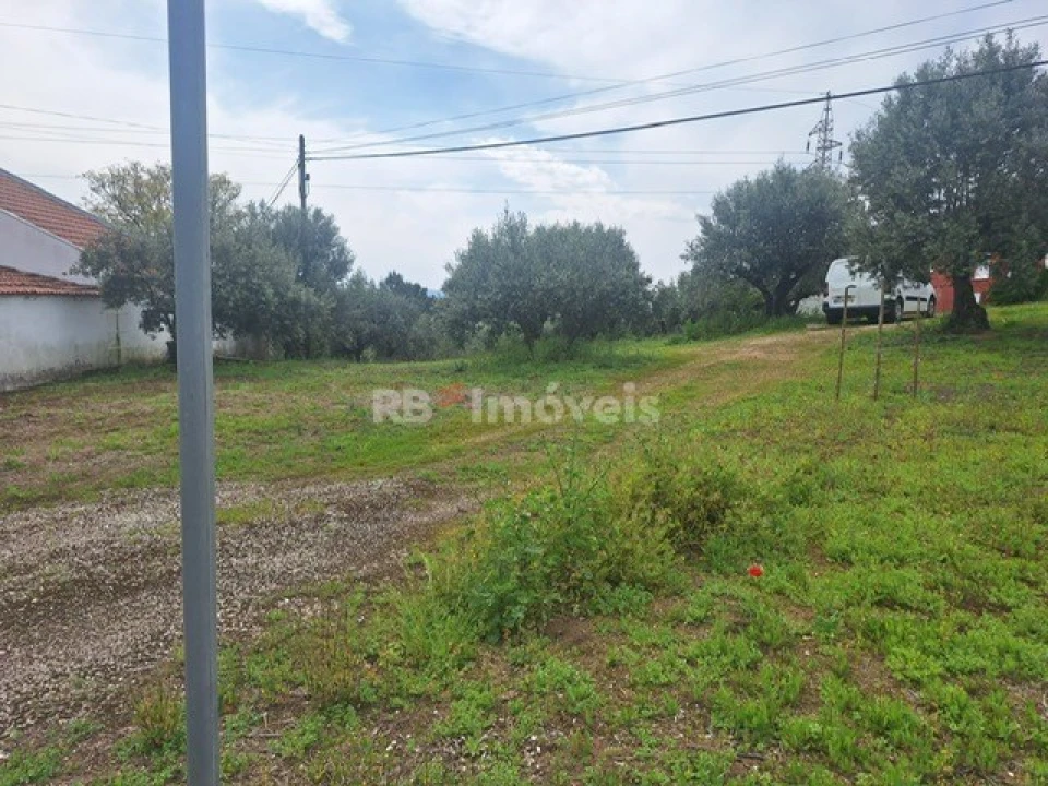 Terreno para Venda em Serra e Junceira Foto 7