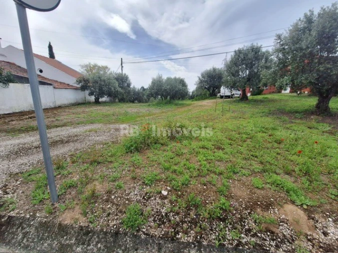 Terreno para Venda em Serra e Junceira Foto 8
