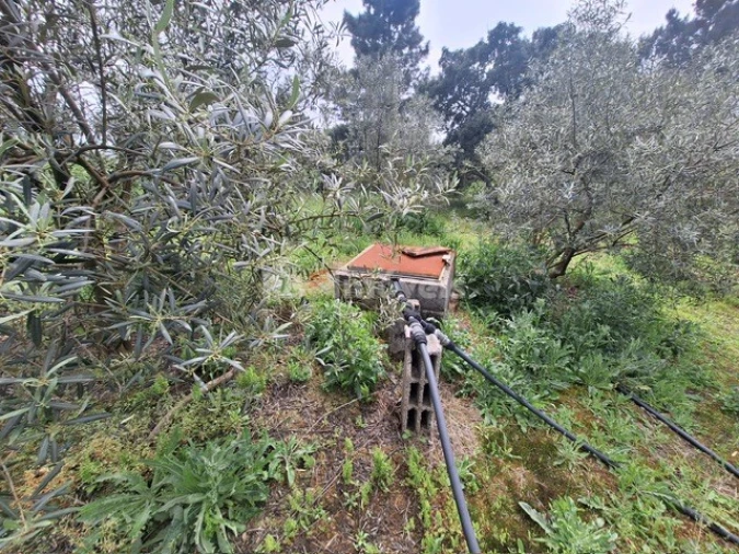 Terreno para Venda em Serra e Junceira Foto 13