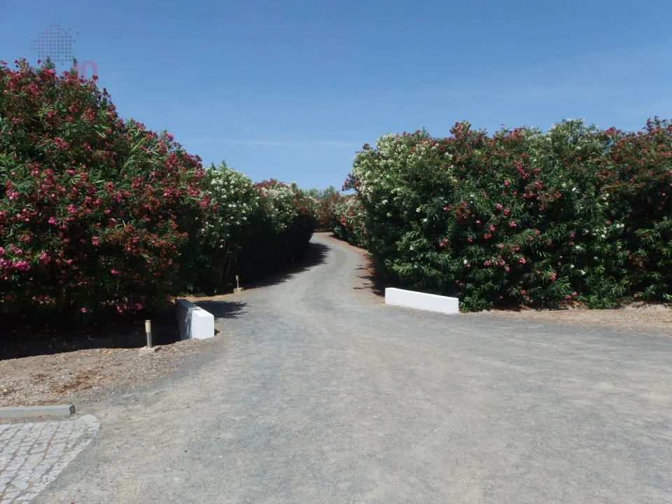 Quinta T7 para Venda em Ferreira do Alentejo e Canhestros Foto 66