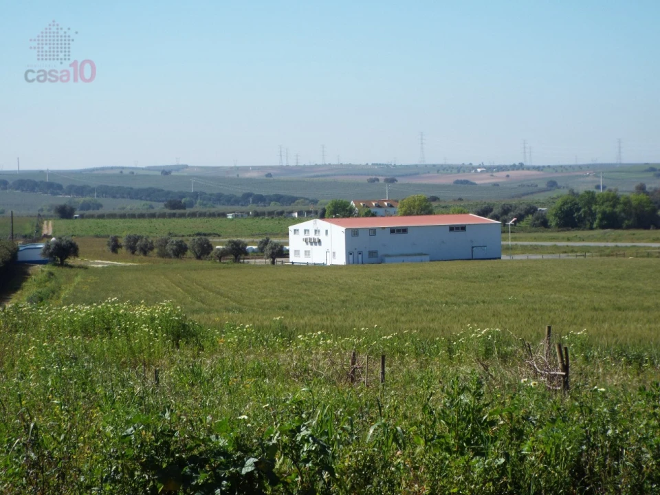Quinta T7 para Venda em Ferreira do Alentejo e Canhestros Foto 80