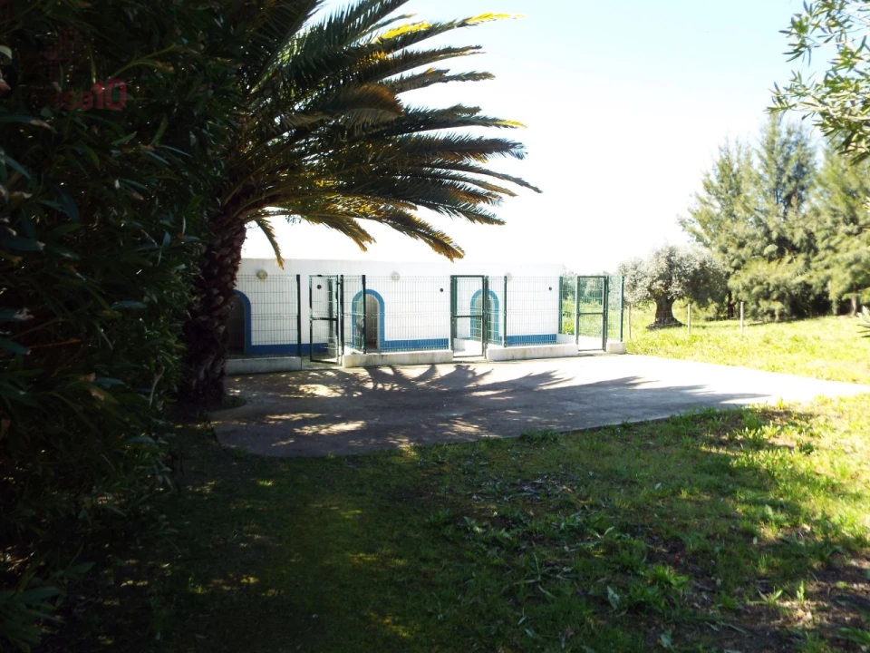 Quinta T7 para Venda em Ferreira do Alentejo e Canhestros Foto 68