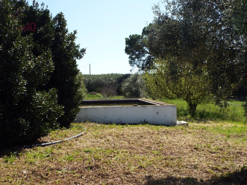 Quinta T7 para Venda em Ferreira do Alentejo e Canhestros Foto 78