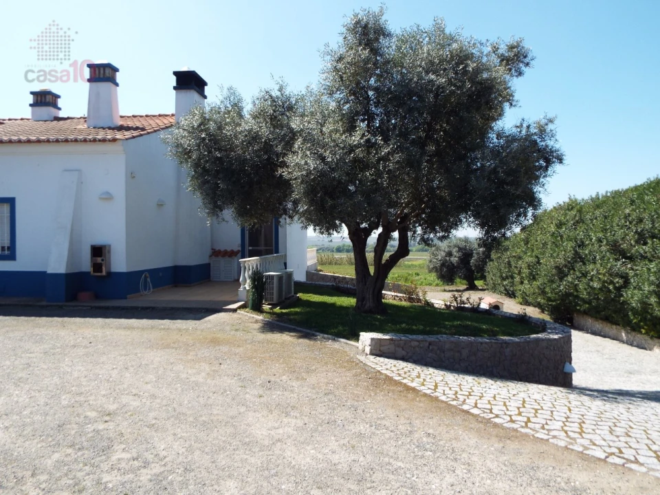 Quinta T7 para Venda em Ferreira do Alentejo e Canhestros Foto 15