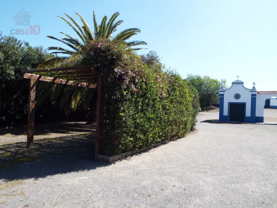 Quinta T7 para Venda em Ferreira do Alentejo e Canhestros Foto 18