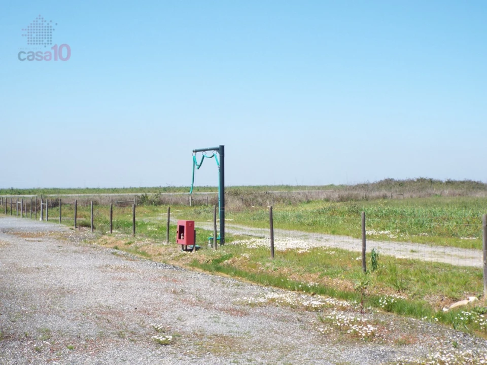 Quinta T7 para Venda em Ferreira do Alentejo e Canhestros Foto 82