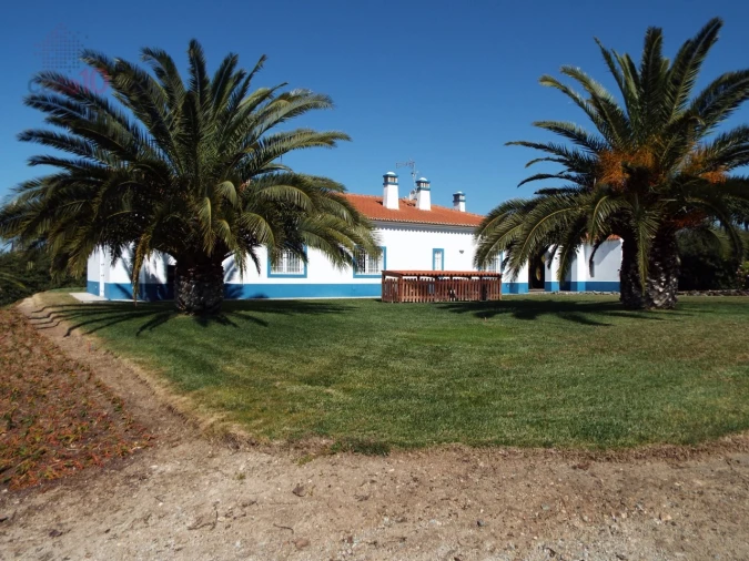 Quinta T7 para Venda em Ferreira do Alentejo e Canhestros Foto 7