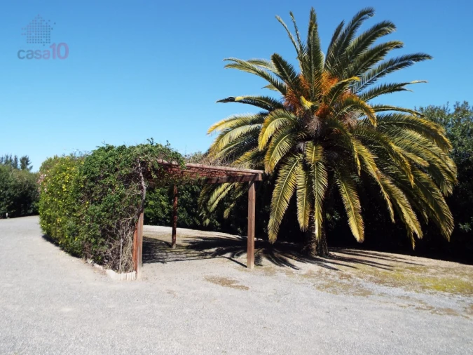 Quinta T7 para Venda em Ferreira do Alentejo e Canhestros Foto 17