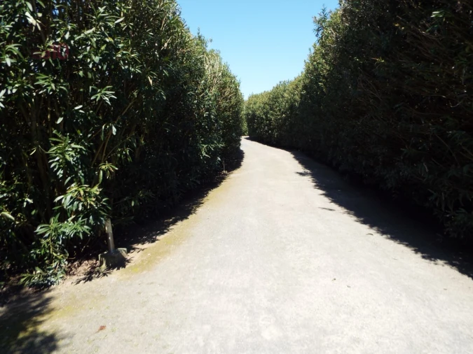 Quinta T7 para Venda em Ferreira do Alentejo e Canhestros Foto 67