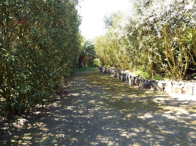 Quinta T7 para Venda em Ferreira do Alentejo e Canhestros Foto 69