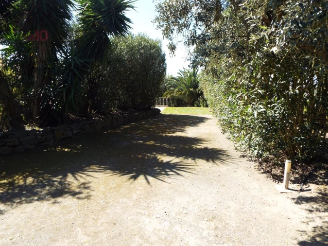 Quinta T7 para Venda em Ferreira do Alentejo e Canhestros Foto 72