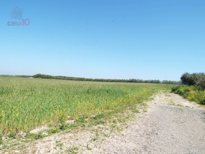 Quinta T7 para Venda em Ferreira do Alentejo e Canhestros Foto 74