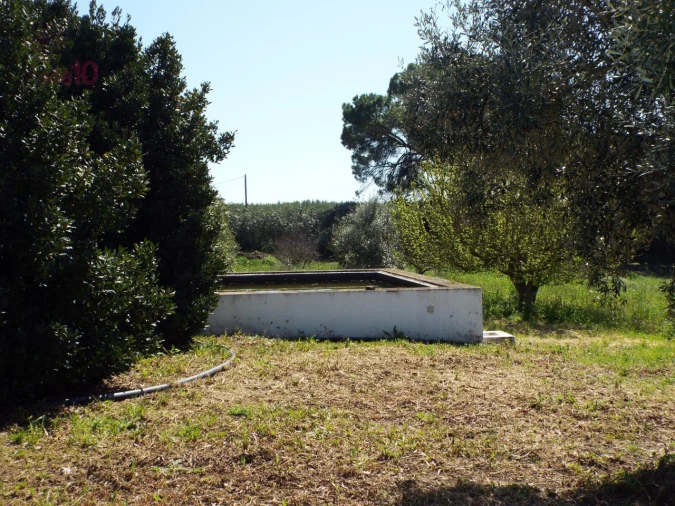 Quinta T7 para Venda em Ferreira do Alentejo e Canhestros Foto 78