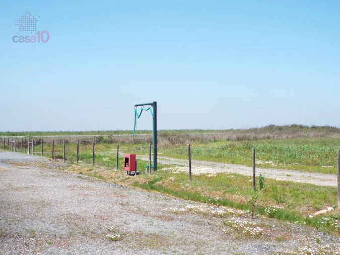 Quinta T7 para Venda em Ferreira do Alentejo e Canhestros Foto 82