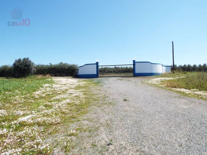 Quinta T7 para Venda em Ferreira do Alentejo e Canhestros Foto 81