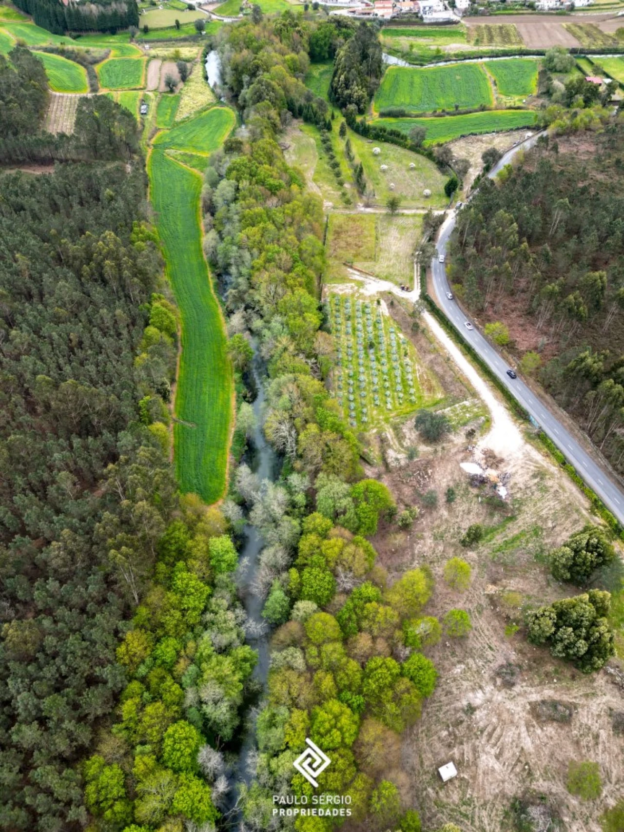 Terreno para Venda em Fragoso Foto 2